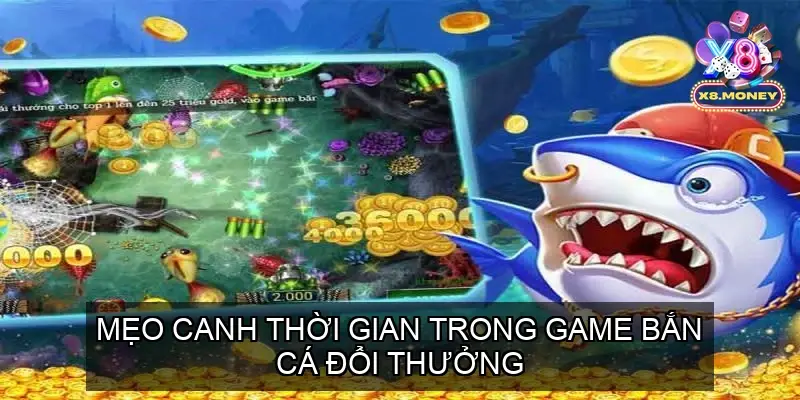 meo canh thoi gian ban ca 68f84b53ab04e